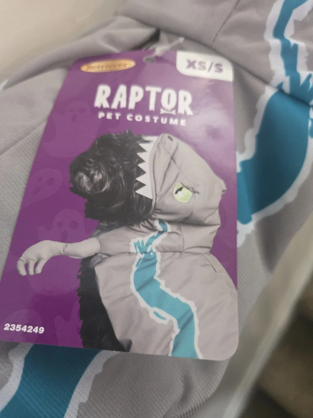 Raptor Pet Costume - Gray & Teal (XS/S)